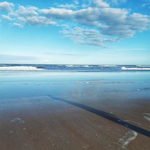 Meet your Posher, Brandy